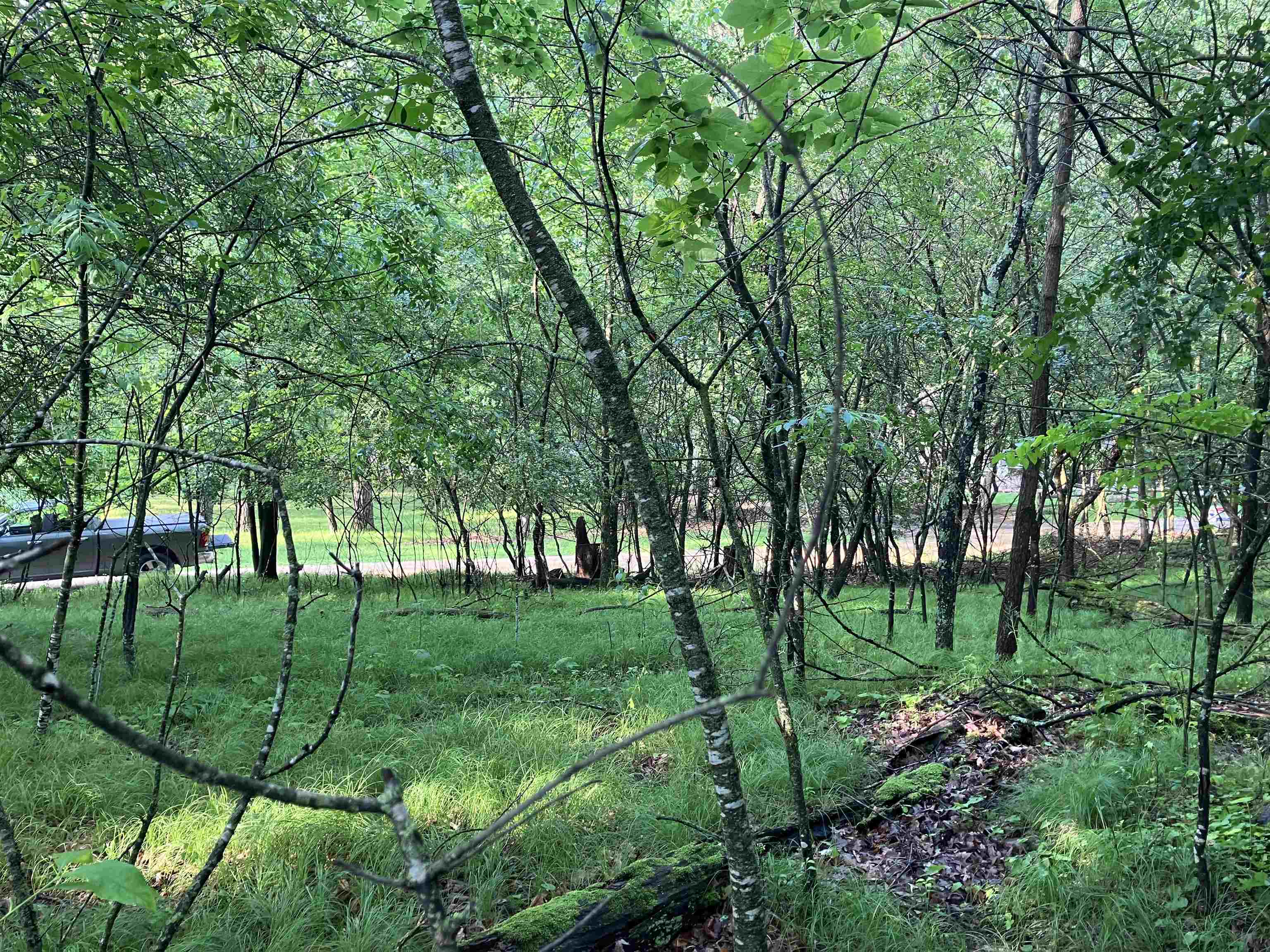 South Lake Road Wild Rose, WI 54984 - Photo 6 of 7