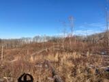 Grassy Meadows Road Alderson, WV 24910 - Photo 17 of 27 Gallery Image 17