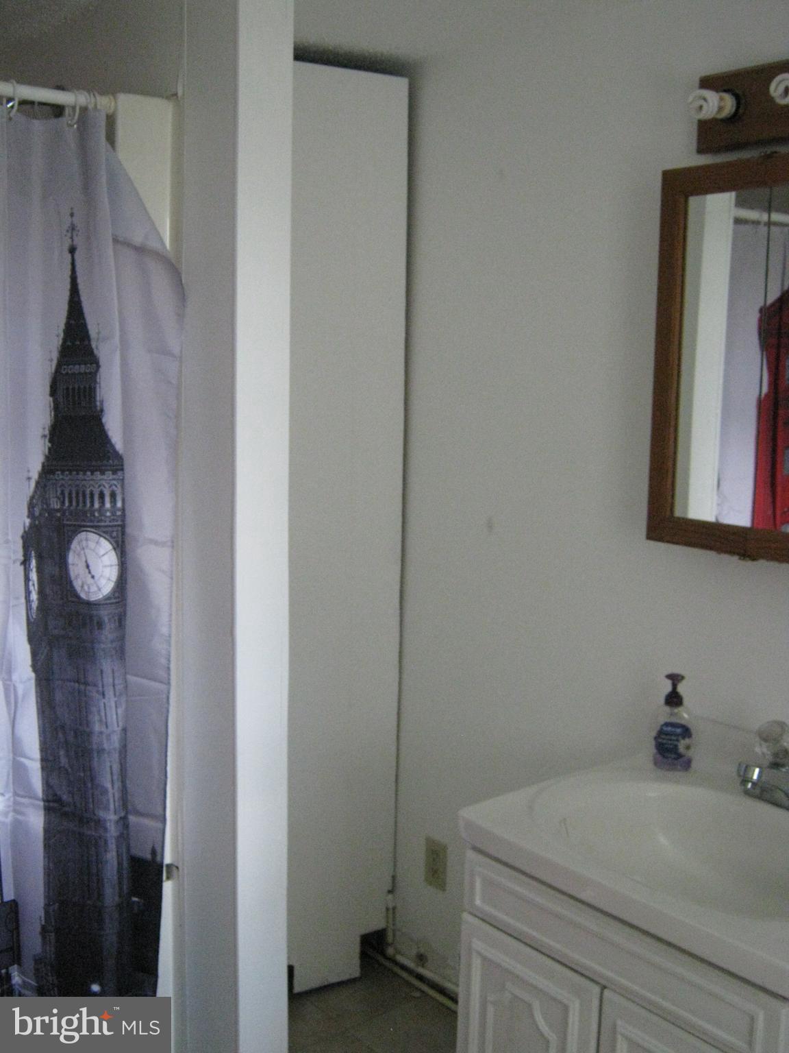 459 Peach Bottom Road Peach Bottom, PA 17563 - Photo 17 of 27 Bathroom