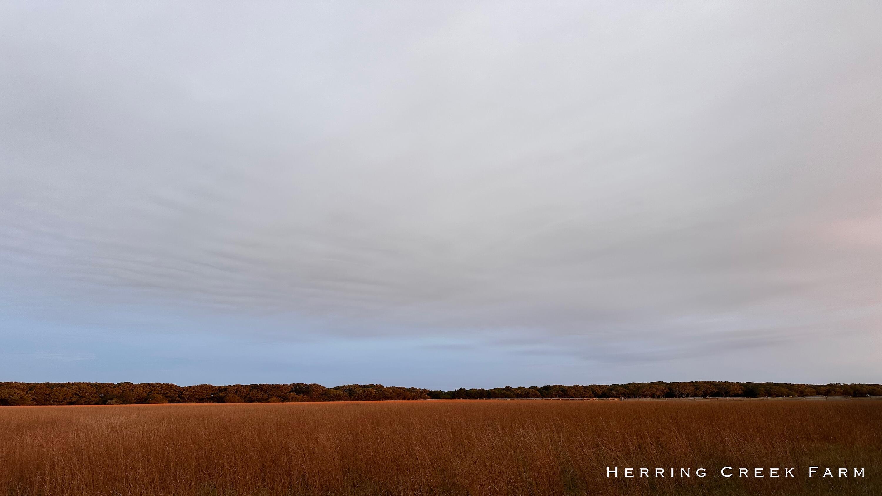 15 Forever Wild Way Edgartown, MA 02539 - Photo 26 of 29 27 GREAT POINT