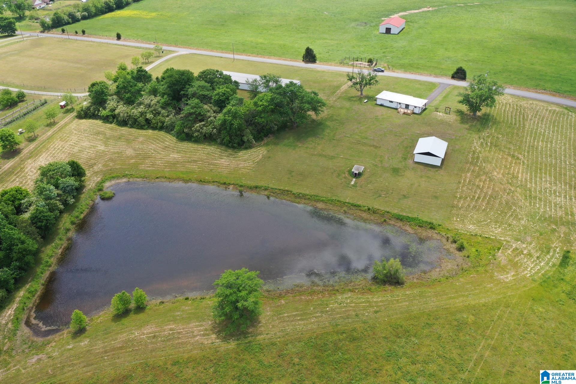 245 Schoolhouse Road Baileyton, AL 35019 - Photo 7 of 20