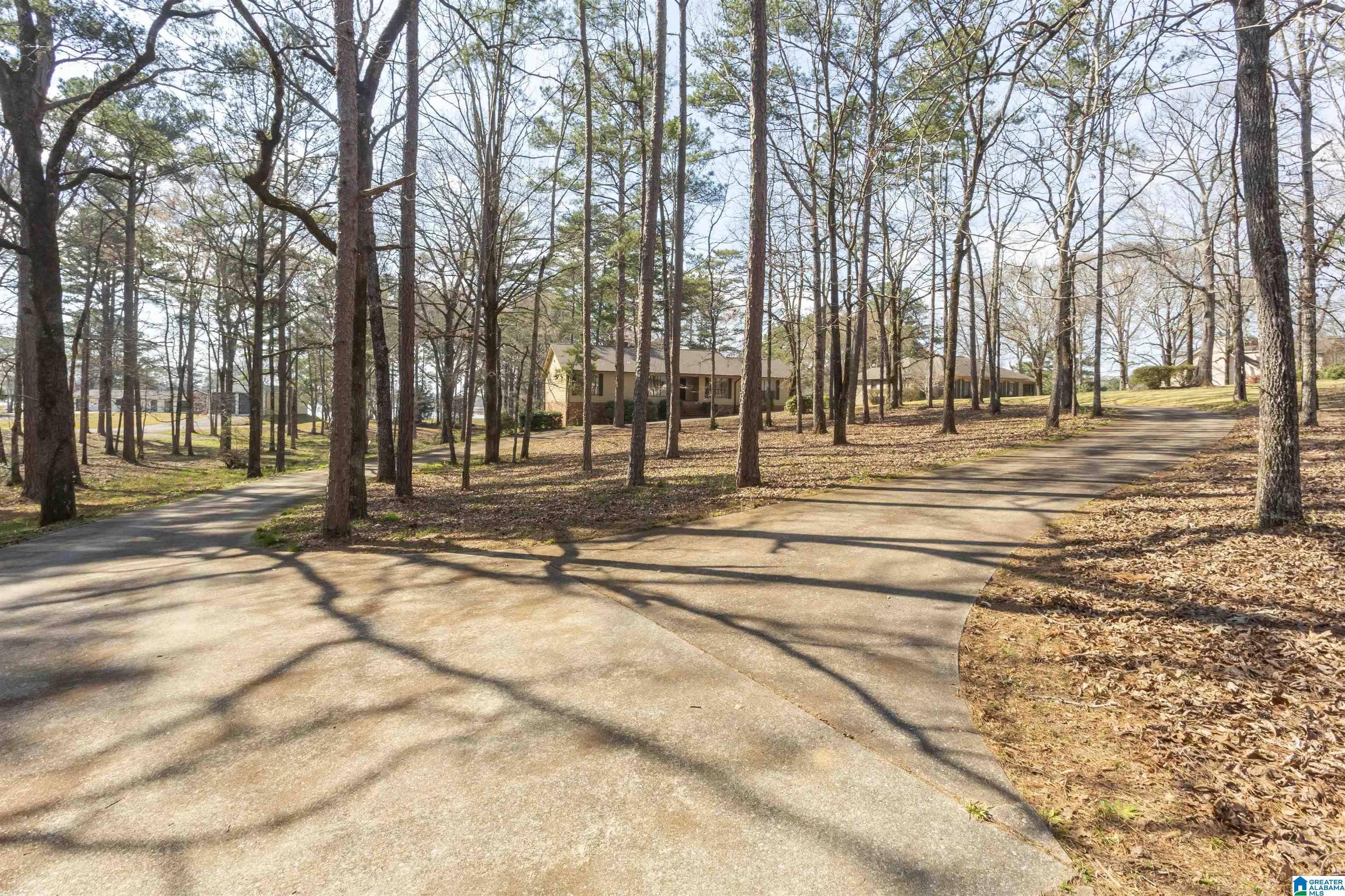 1600 Funderburg Bend Road Pell City, AL 35128 - Photo 44 of 49