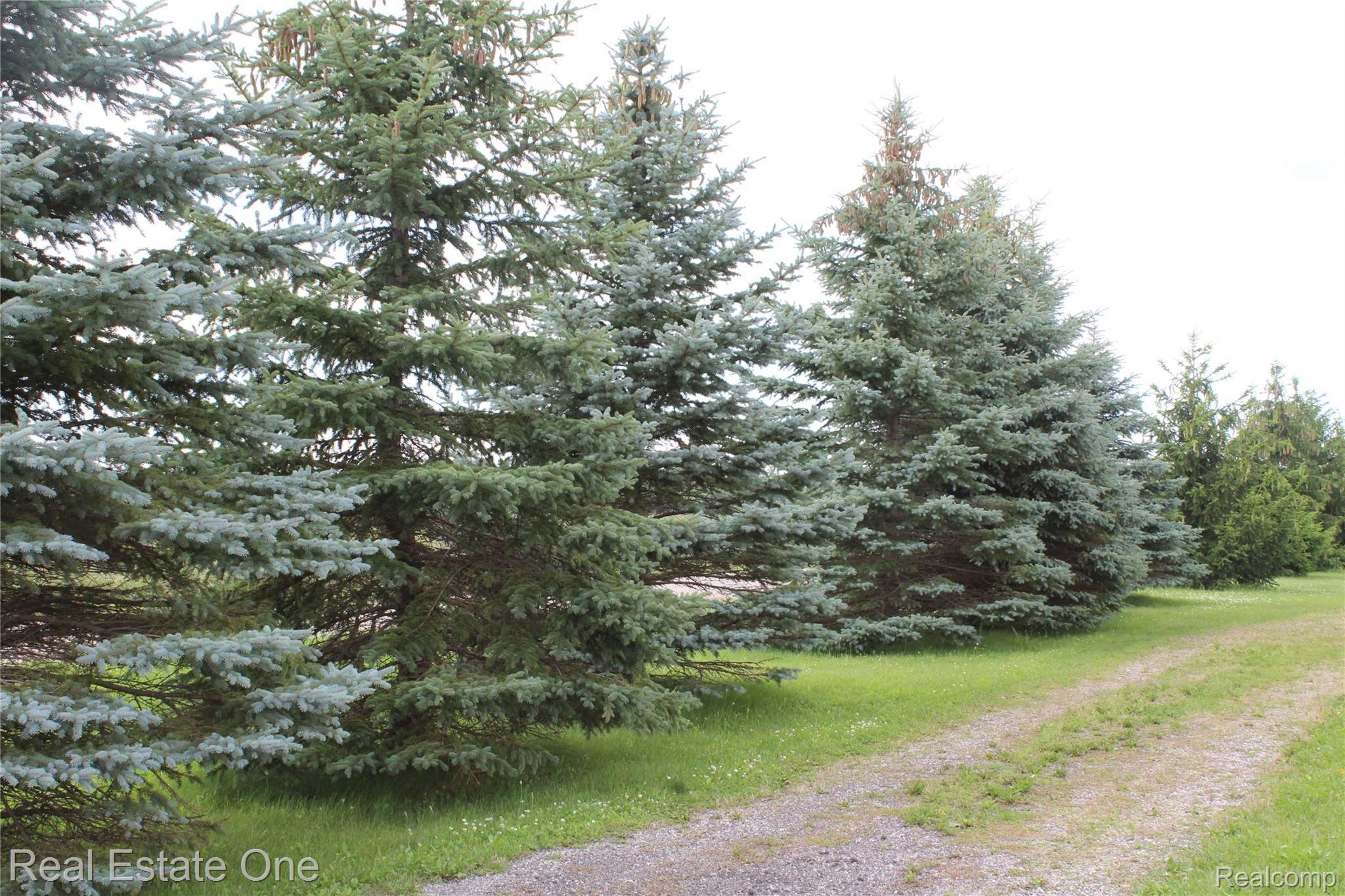 8755 Mason Road Fowlerville, MI 48836 - Photo 56 of 62 30_06_2021_0407.JPG