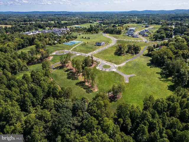 an aerial view of residential houses with outdoor space and trees