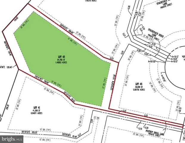 a view of a floor in a park