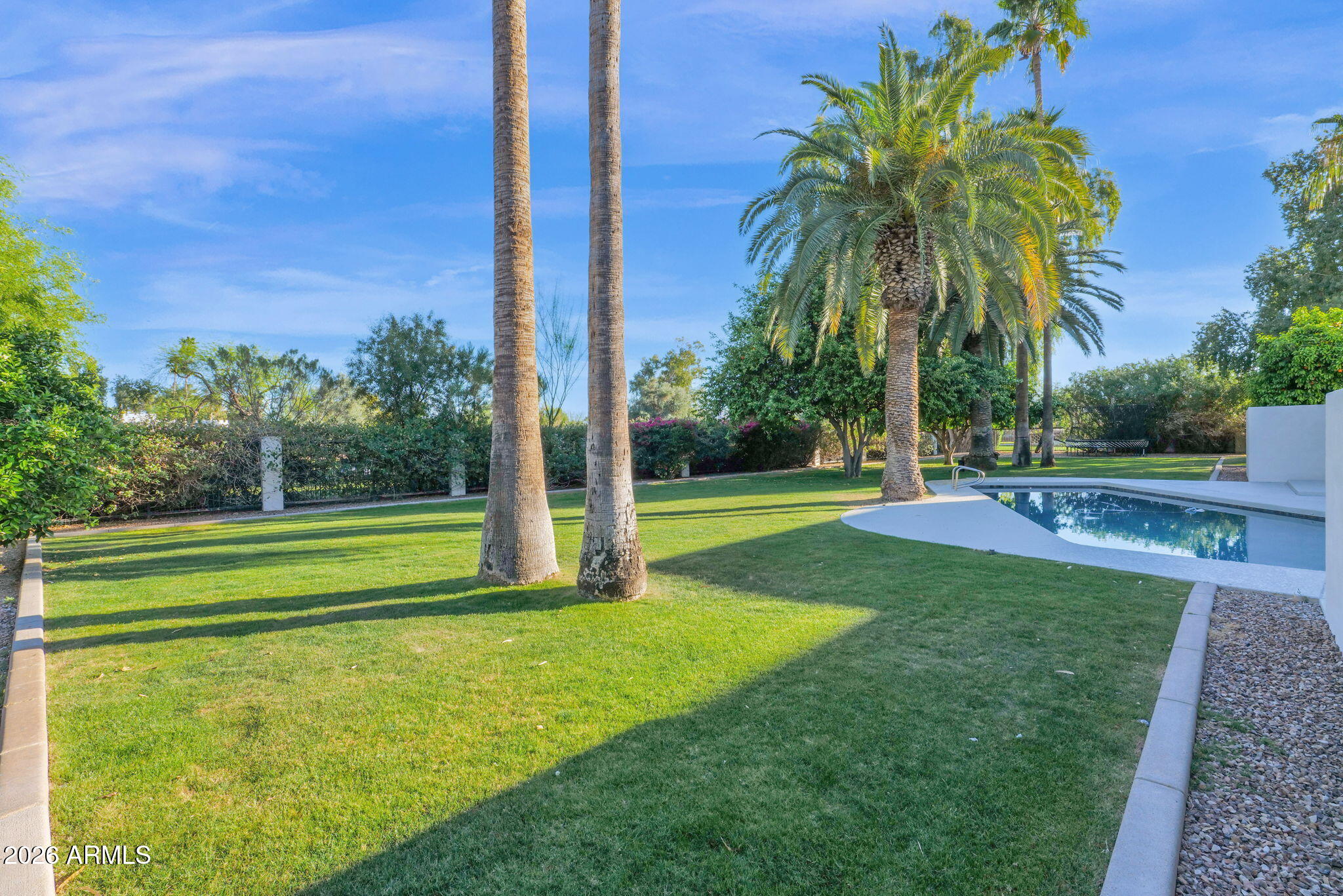 11813 North Blackheath Road Scottsdale, AZ 85254 - Photo 41 of 55 a view of a park with palm trees