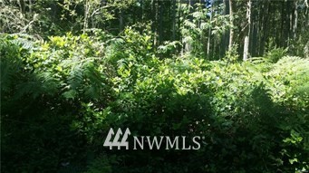 8906 Otso Point Road Anderson Island, WA 98303 - Photo 1 of 2