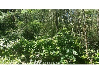 8906 Otso Point Road Anderson Island, WA 98303 - Photo 2 of 2