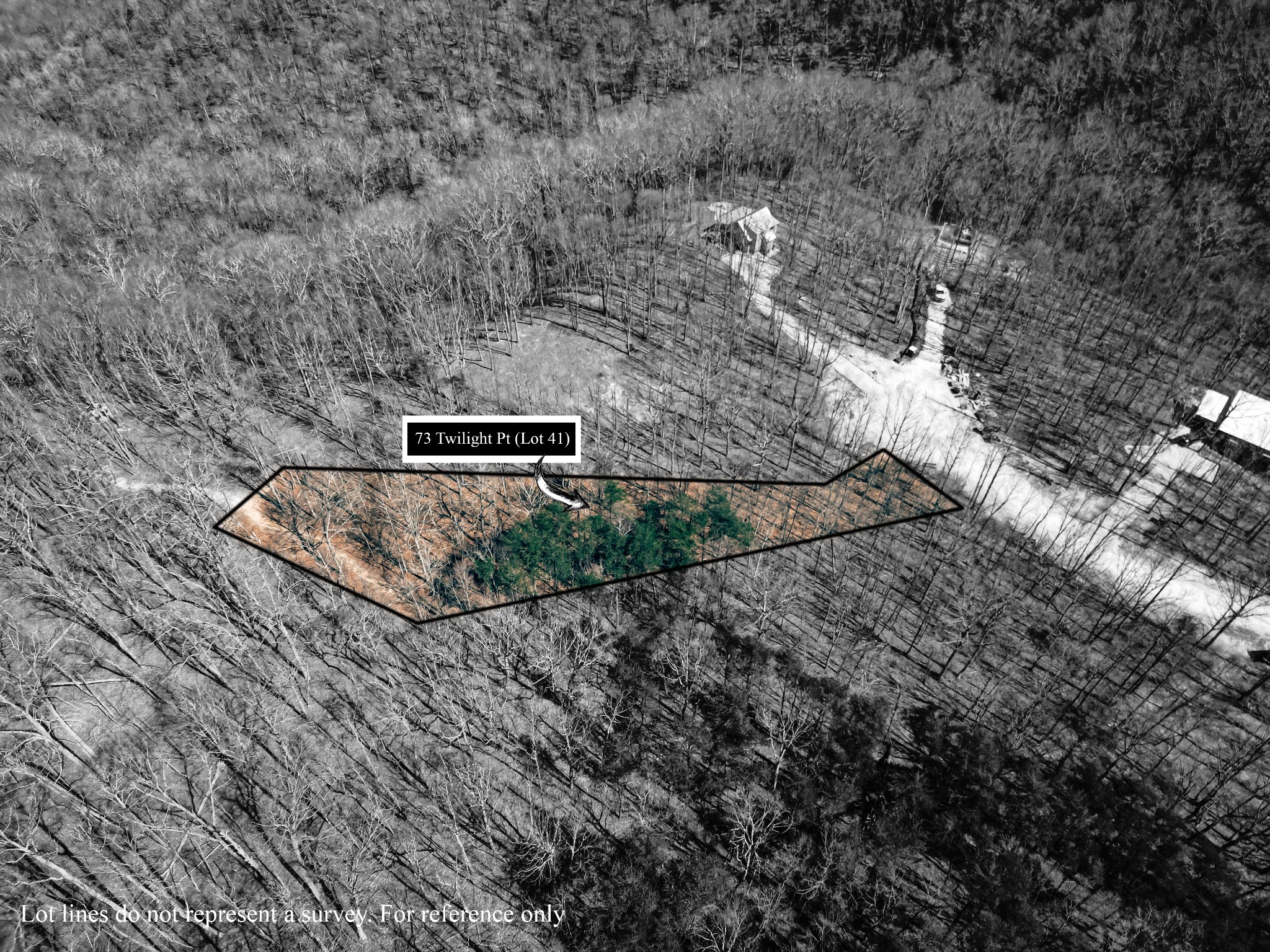 73 Twilight Point Monteagle, TN 37356 - Photo 4 of 13 a view of a dry yard with trees