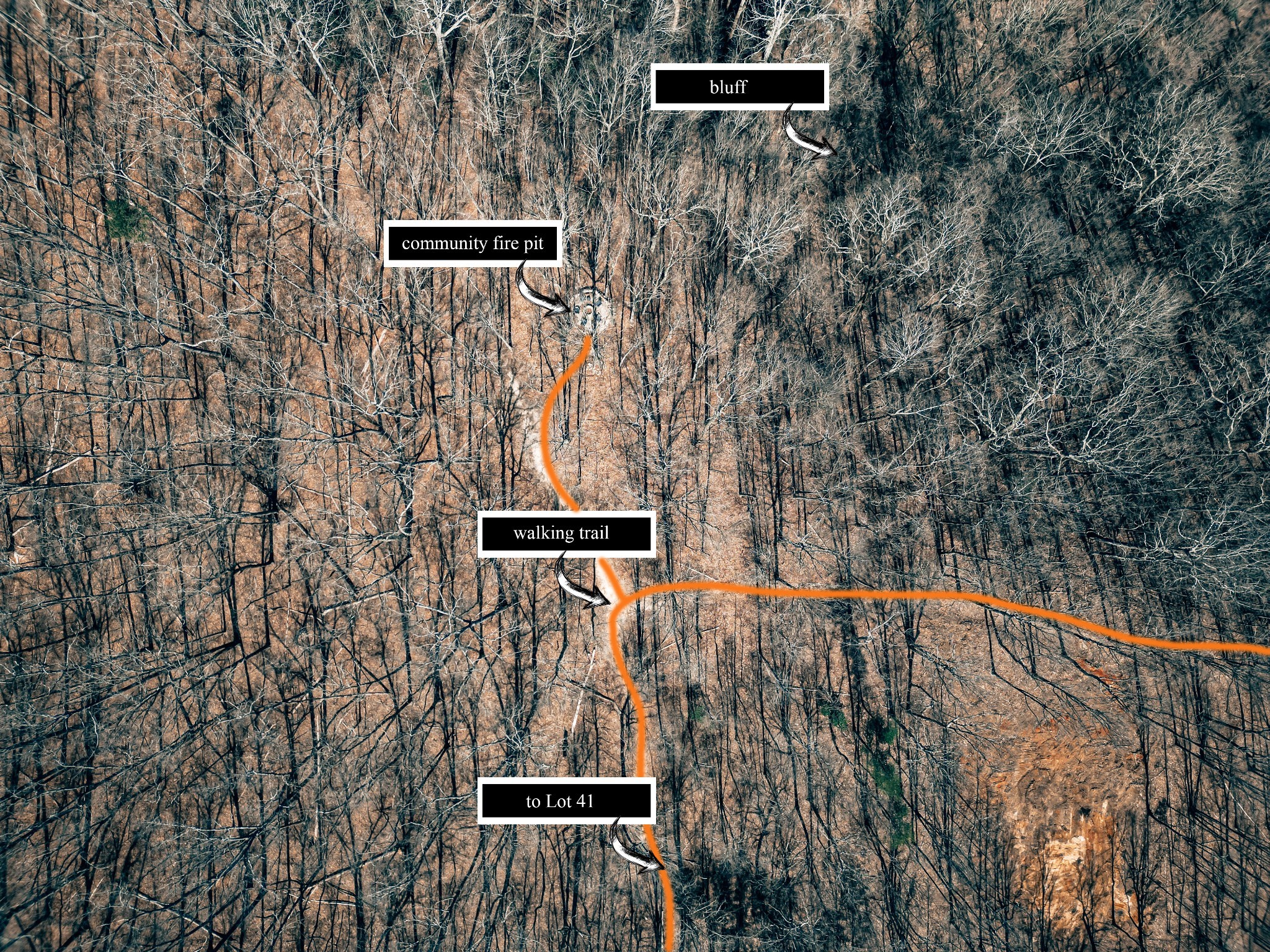 73 Twilight Point Monteagle, TN 37356 - Photo 7 of 13