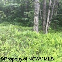 1308 Sand Run Road Davis, WV 26260 - Photo 13 of 30 Gallery Image 13