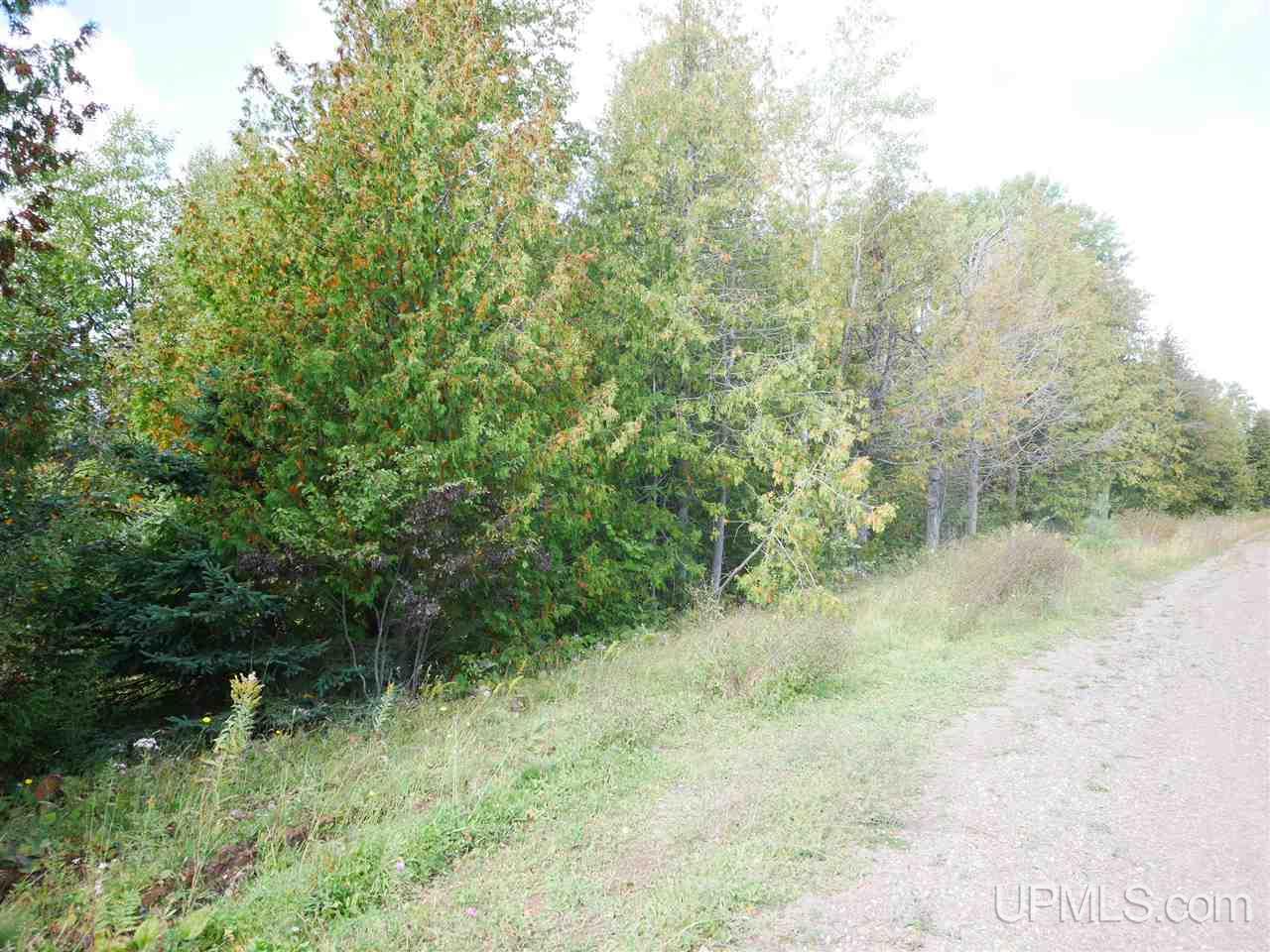 Tbd Gratiot River Road Allouez, MI 49805 - Photo 1 of 7