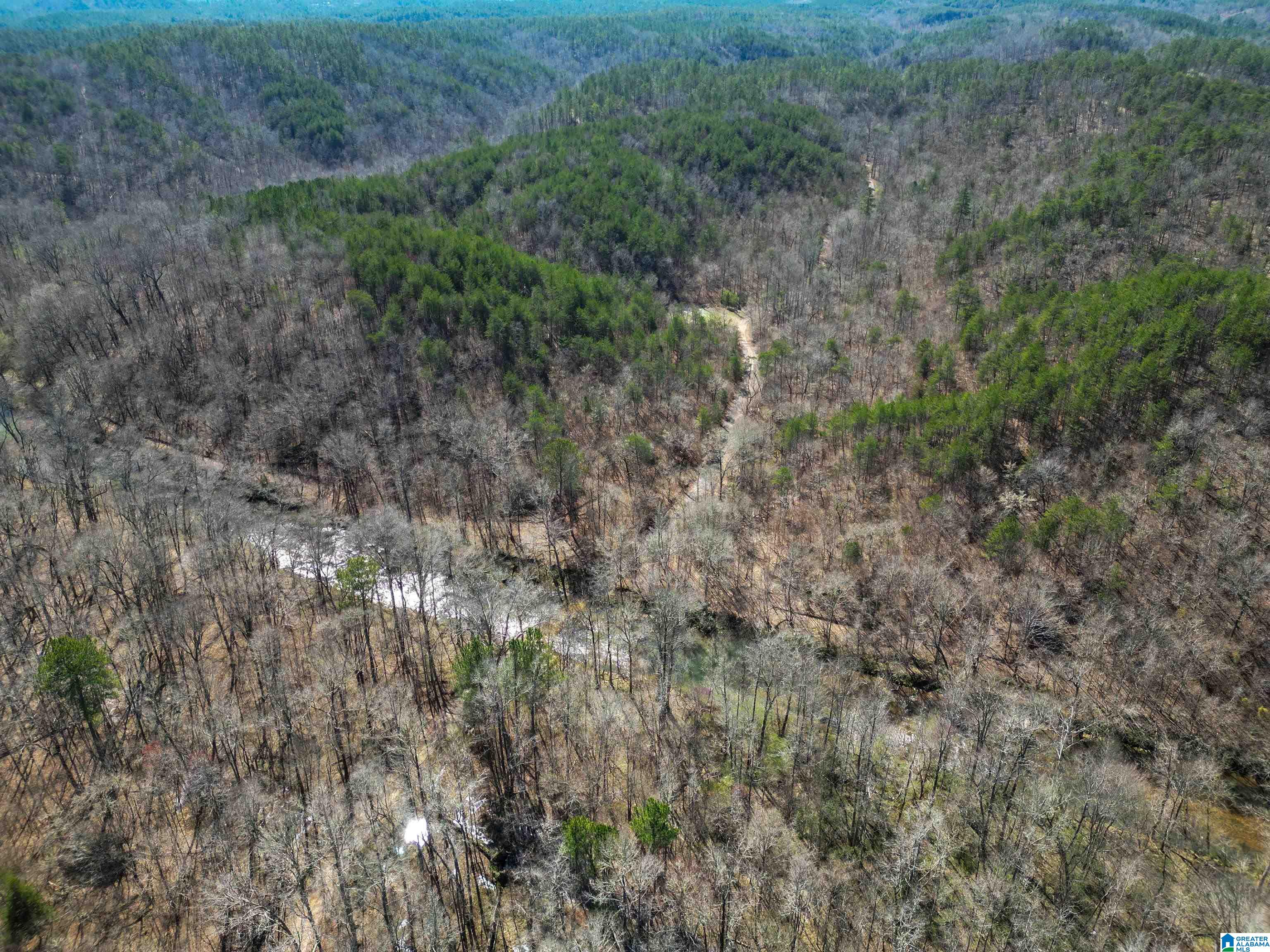 565 Hiawatha Road Calera, AL 35040 - Photo 10 of 27