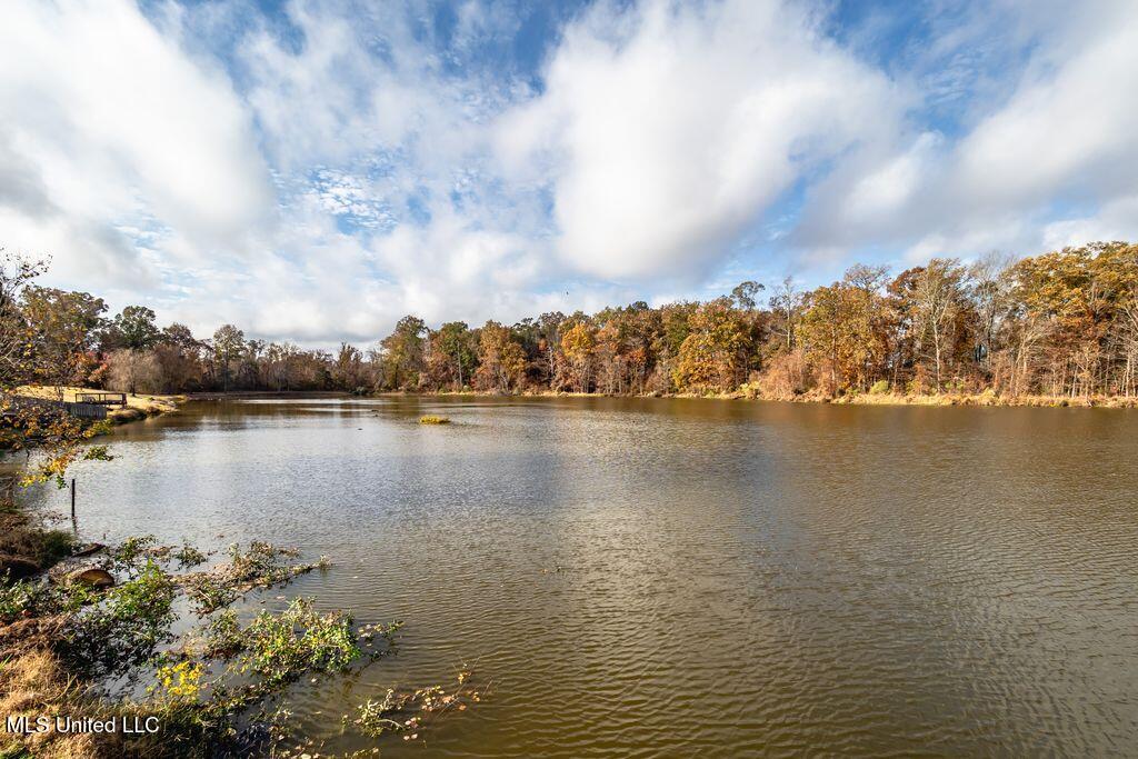 417 Westport Way Flowood, MS 39232 - Photo 25 of 33 IMG_0349