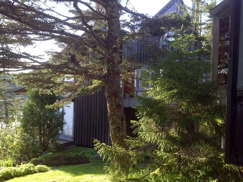 7 Barnacles Way Mount Desert, ME 04662 - Photo 9 of 24 Side view of Shore Cottage