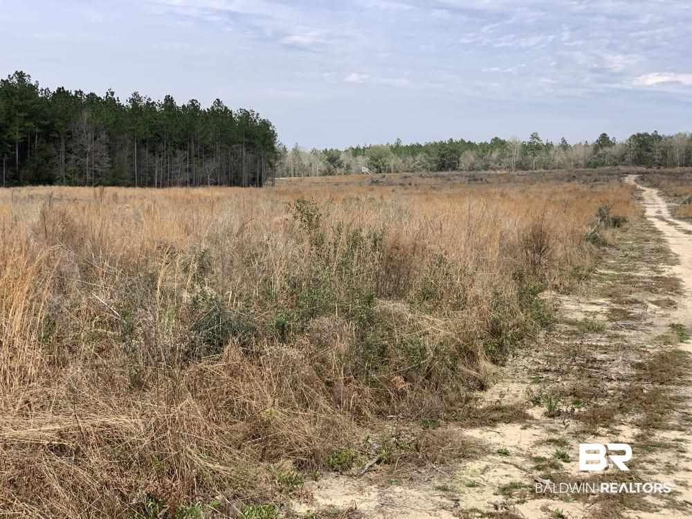 17525 Joe Gottler Road Elberta, AL 36530 - Photo 34 of 44
