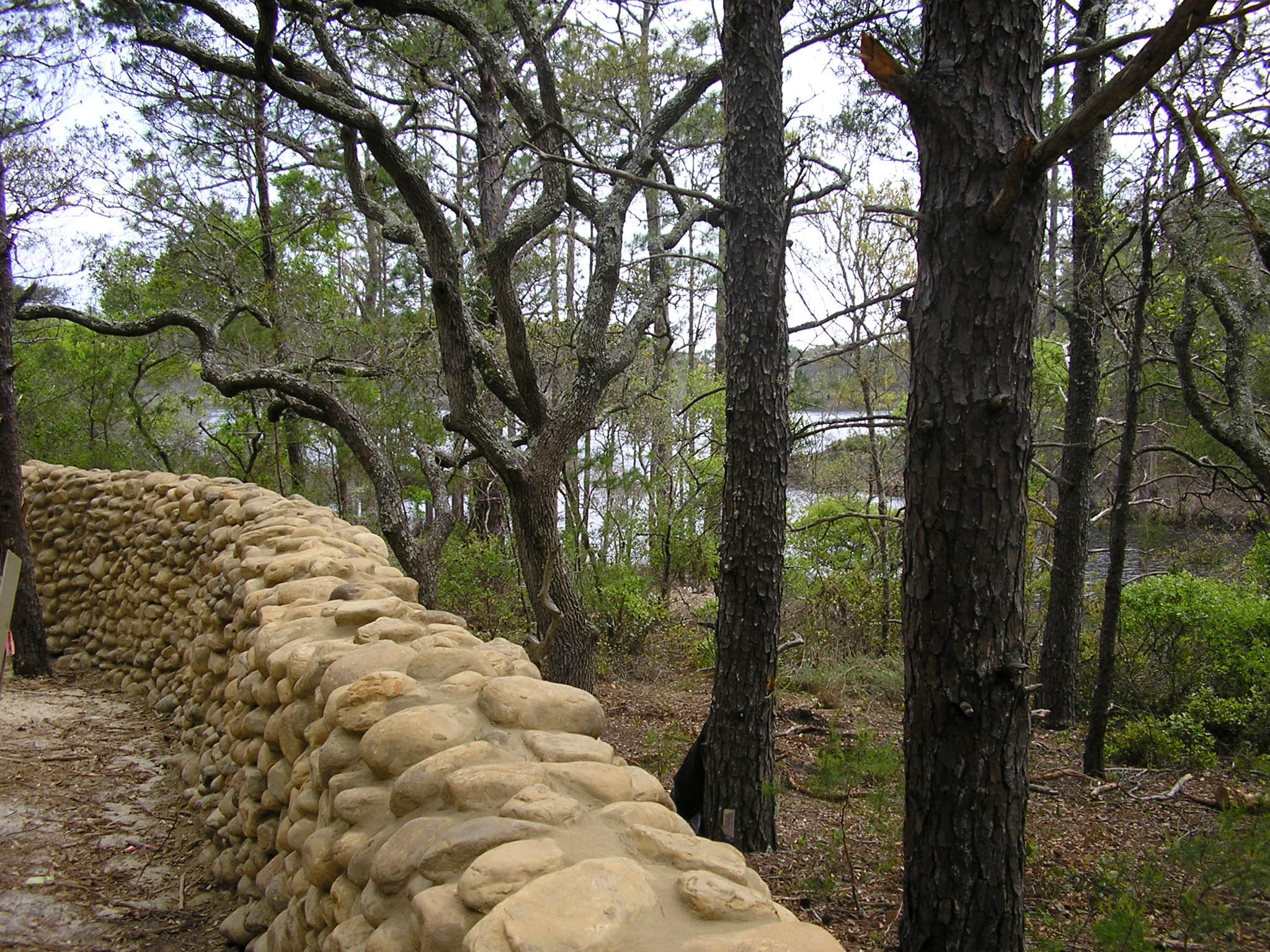 Lot 1-2 West Cedar Bend Road Santa Rosa Beach, FL 32459 - Photo 1 of 1 a view of a trees