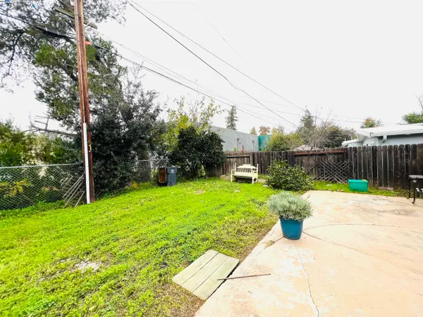 a view of a backyard with couches plants and large tree