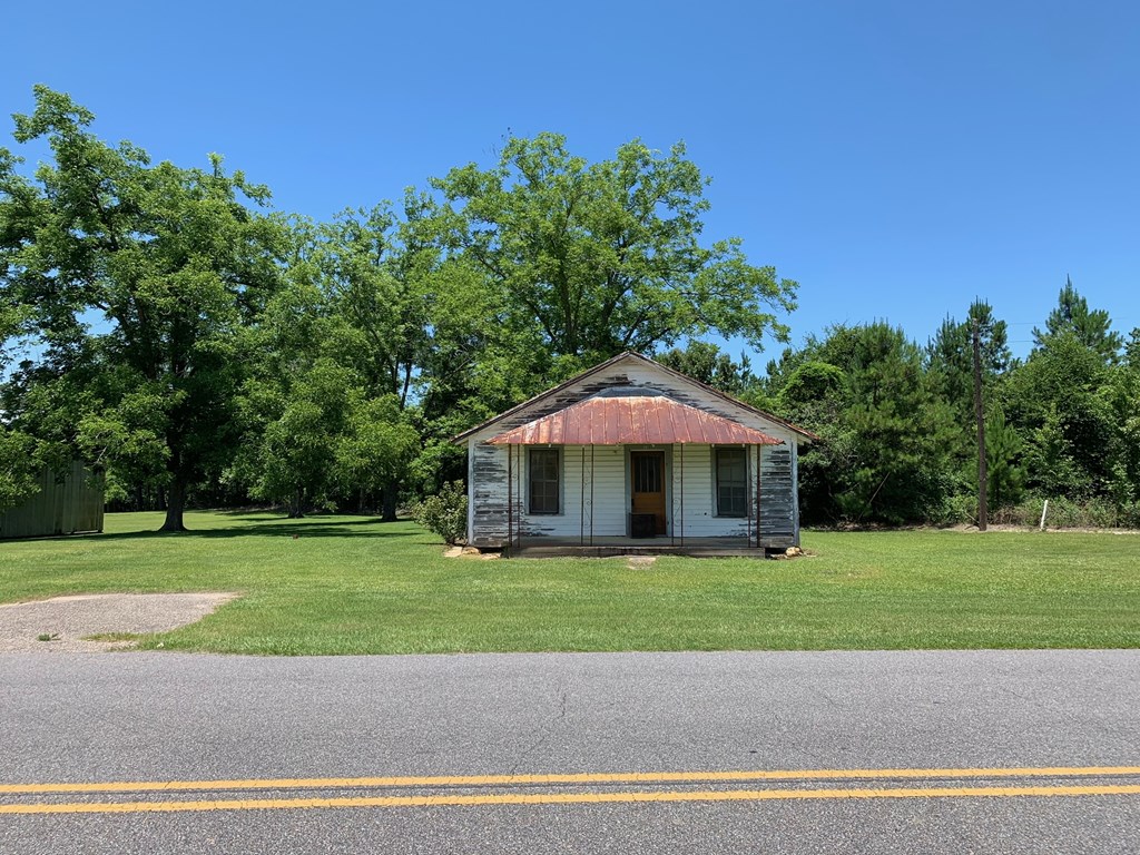 0 South Co Road Ashford, AL 36312 - Photo 14 of 16