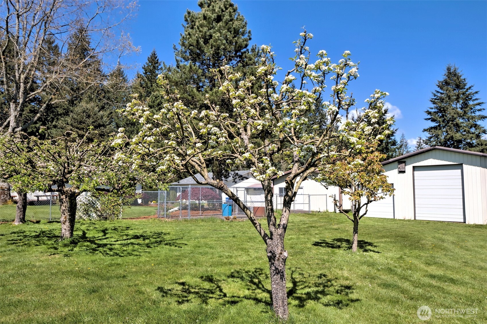 247-24 Woodard Road Chehalis, WA 98532 - Photo 34 of 40