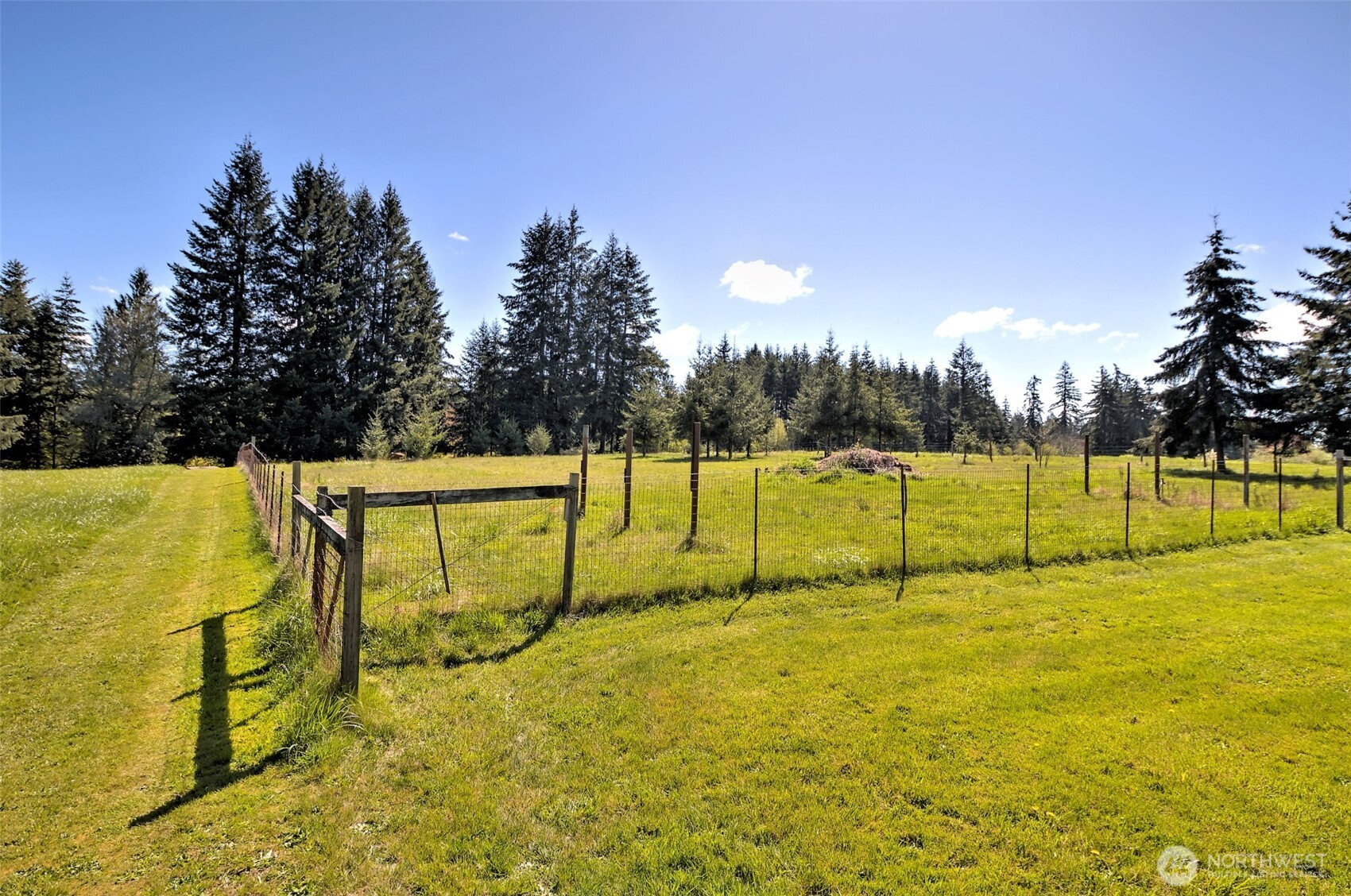 247-24 Woodard Road Chehalis, WA 98532 - Photo 37 of 40 a view of swimming pool with trees in the background