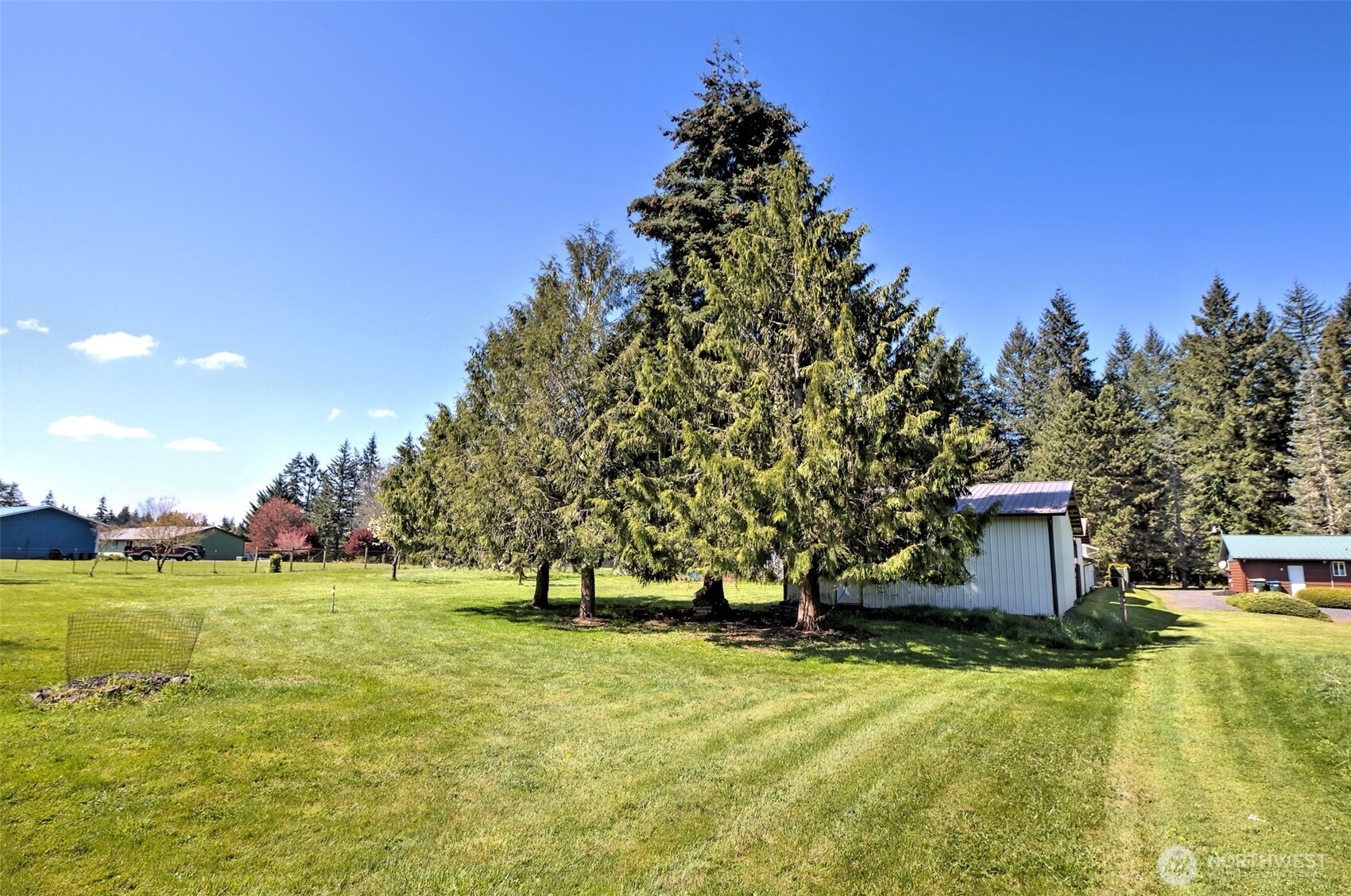 247-24 Woodard Road Chehalis, WA 98532 - Photo 38 of 40 a view of a house with a yard and a tree