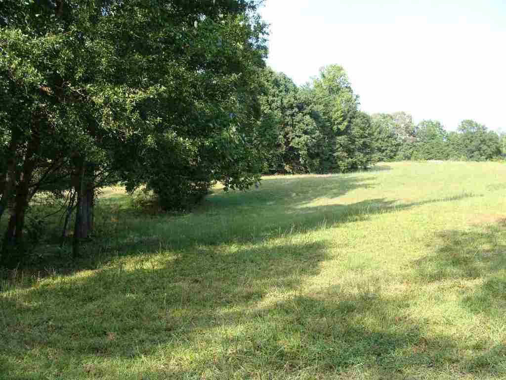 299 Coves End Point Seneca, SC 29678 - Photo 5 of 25 Gallery Image 5