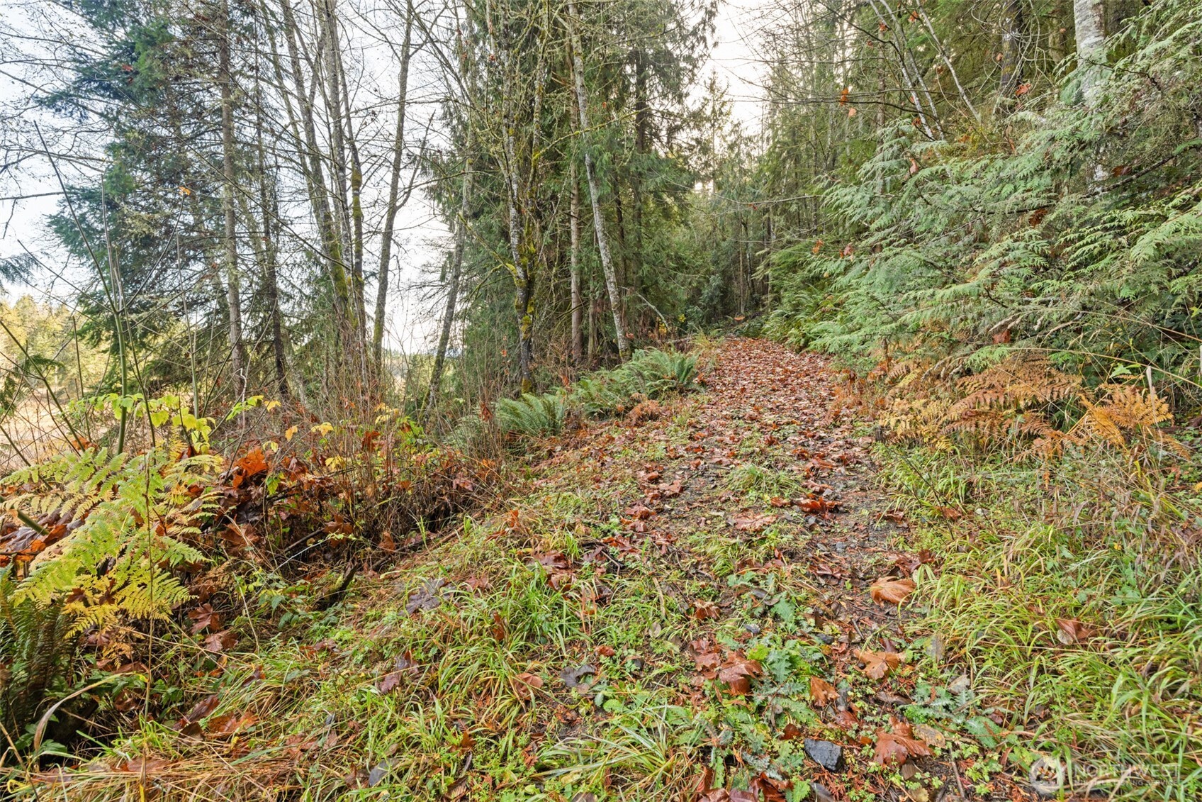 -nka Lost Mountain Road Sequim, WA 98382 - Photo 4 of 29 Gallery Image 4