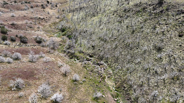 123 West Tbd Willow Spring Road Eureka, UT 84628 - Photo 14 of 60 Image quality insufficient for description