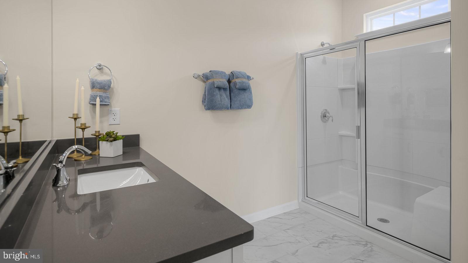 249 Hydrangea Way Winchester, VA 22602 - Photo 13 of 19 a bathroom with a sink and a mirror