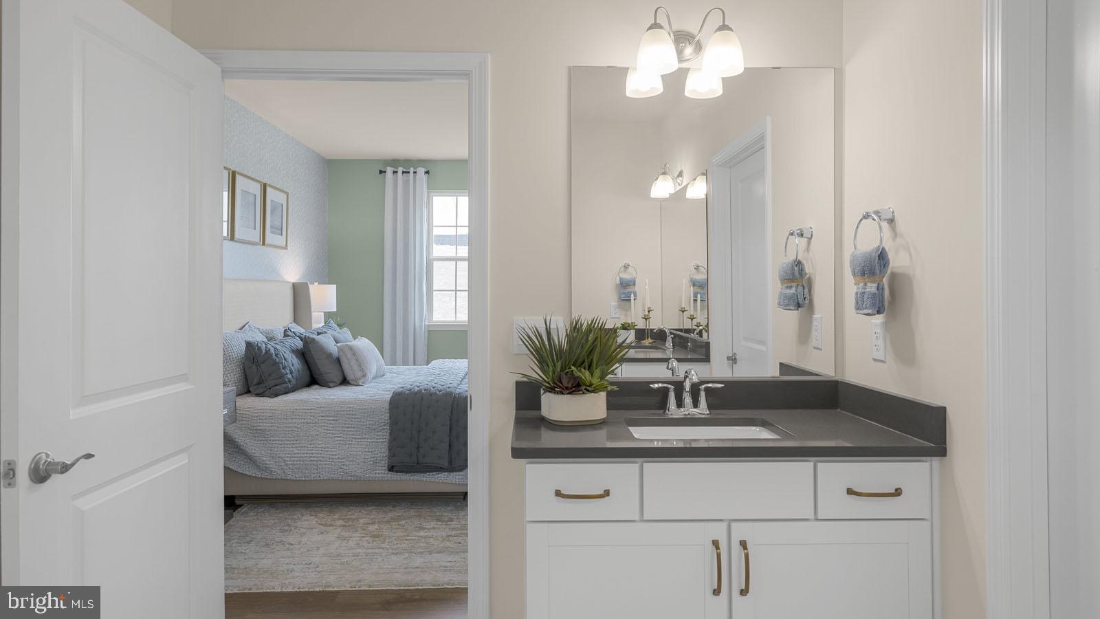 249 Hydrangea Way Winchester, VA 22602 - Photo 15 of 19 a bathroom with a sink and a mirror