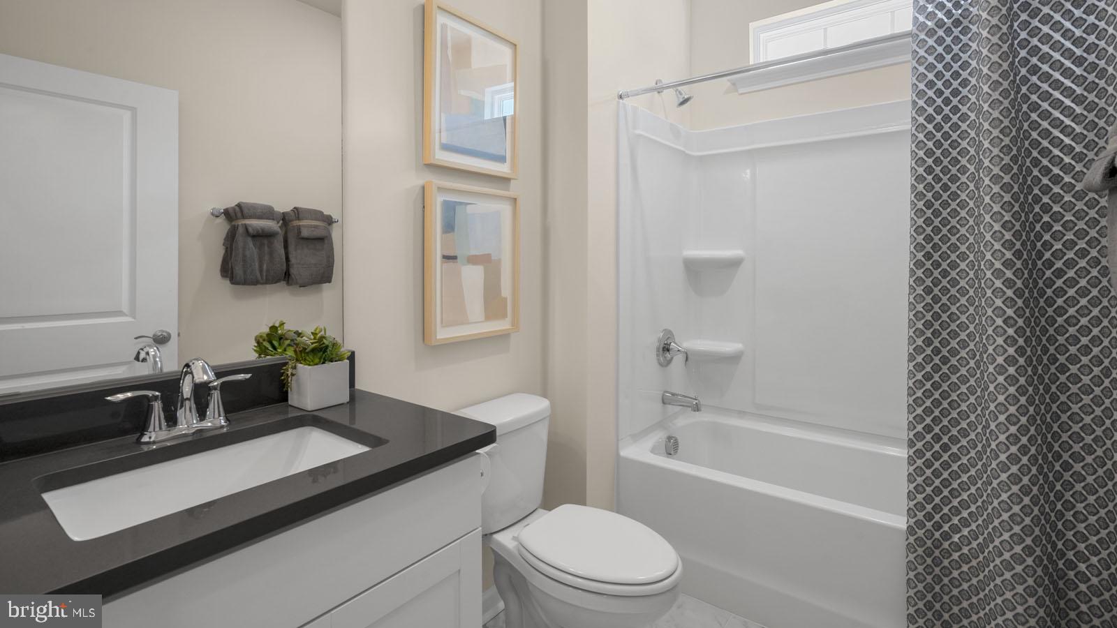 249 Hydrangea Way Winchester, VA 22602 - Photo 16 of 19 a bathroom with a sink a toilet and shower