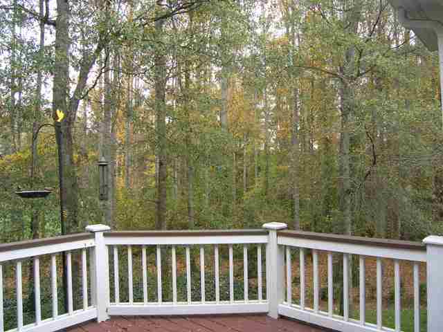 102 Powers Garden Road Simpsonville, SC 29681 - Photo 23 of 25 Gallery Image 23