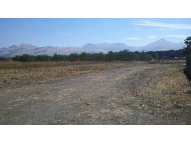 380 Lone Tree Road Hollister, CA 95023 - Photo 9 of 10 Gallery Image 9