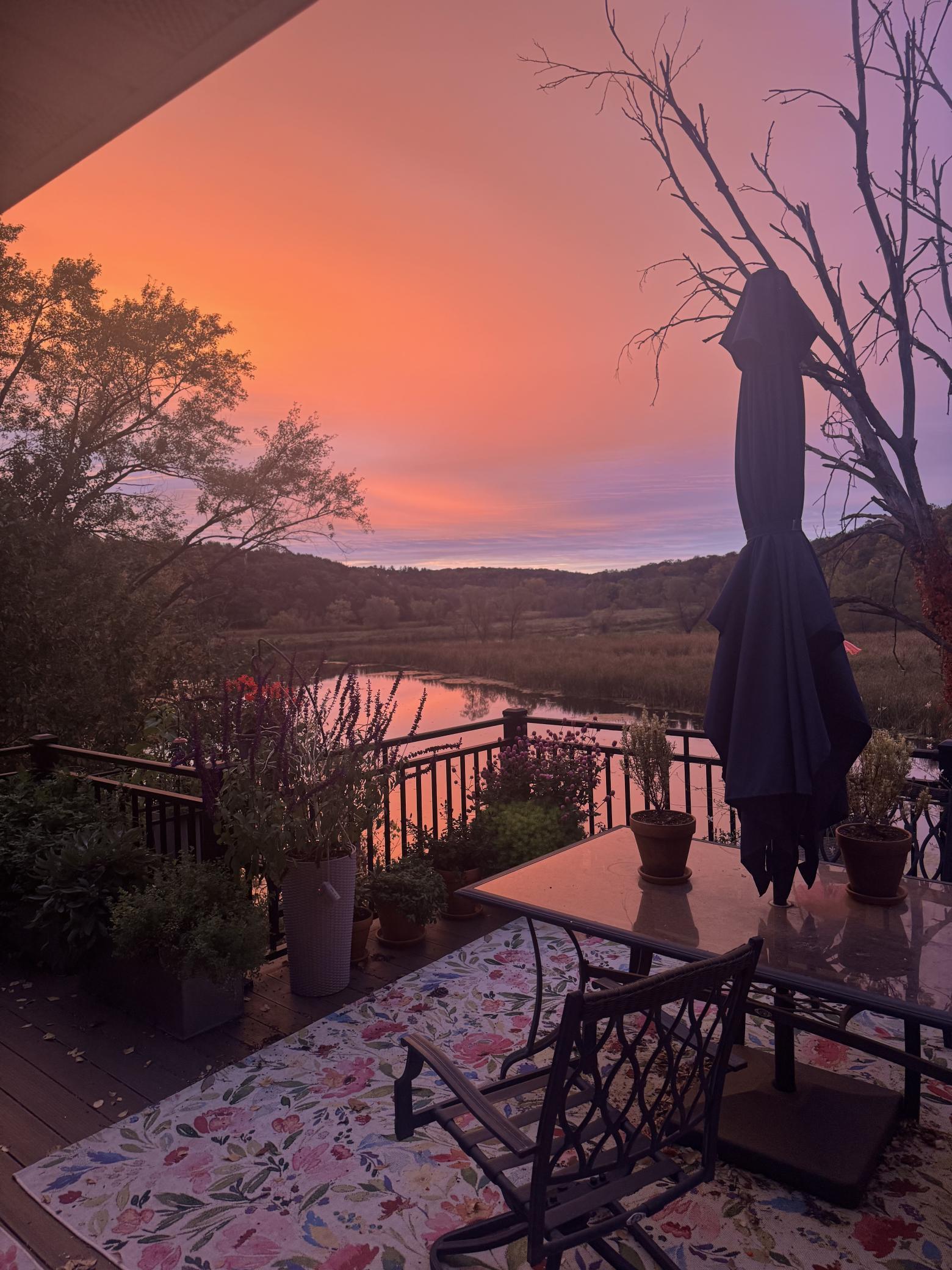 348 105th Street Northwest Oronoco, MN 55960 - Photo 44 of 50