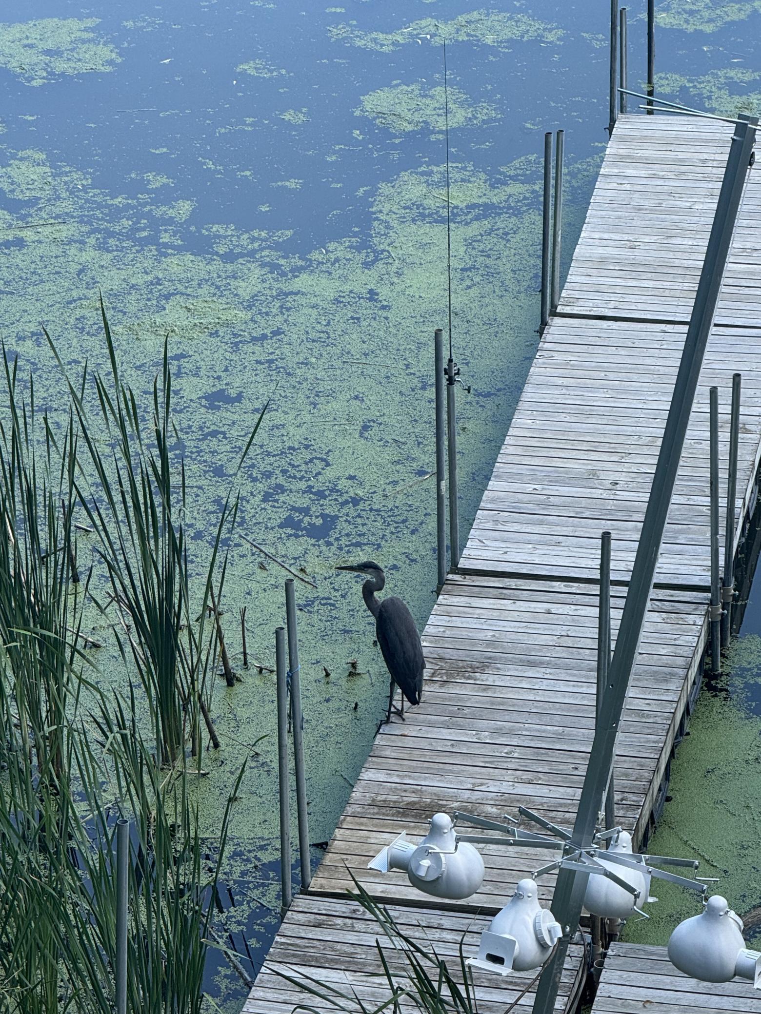 348 105th Street Northwest Oronoco, MN 55960 - Photo 45 of 50