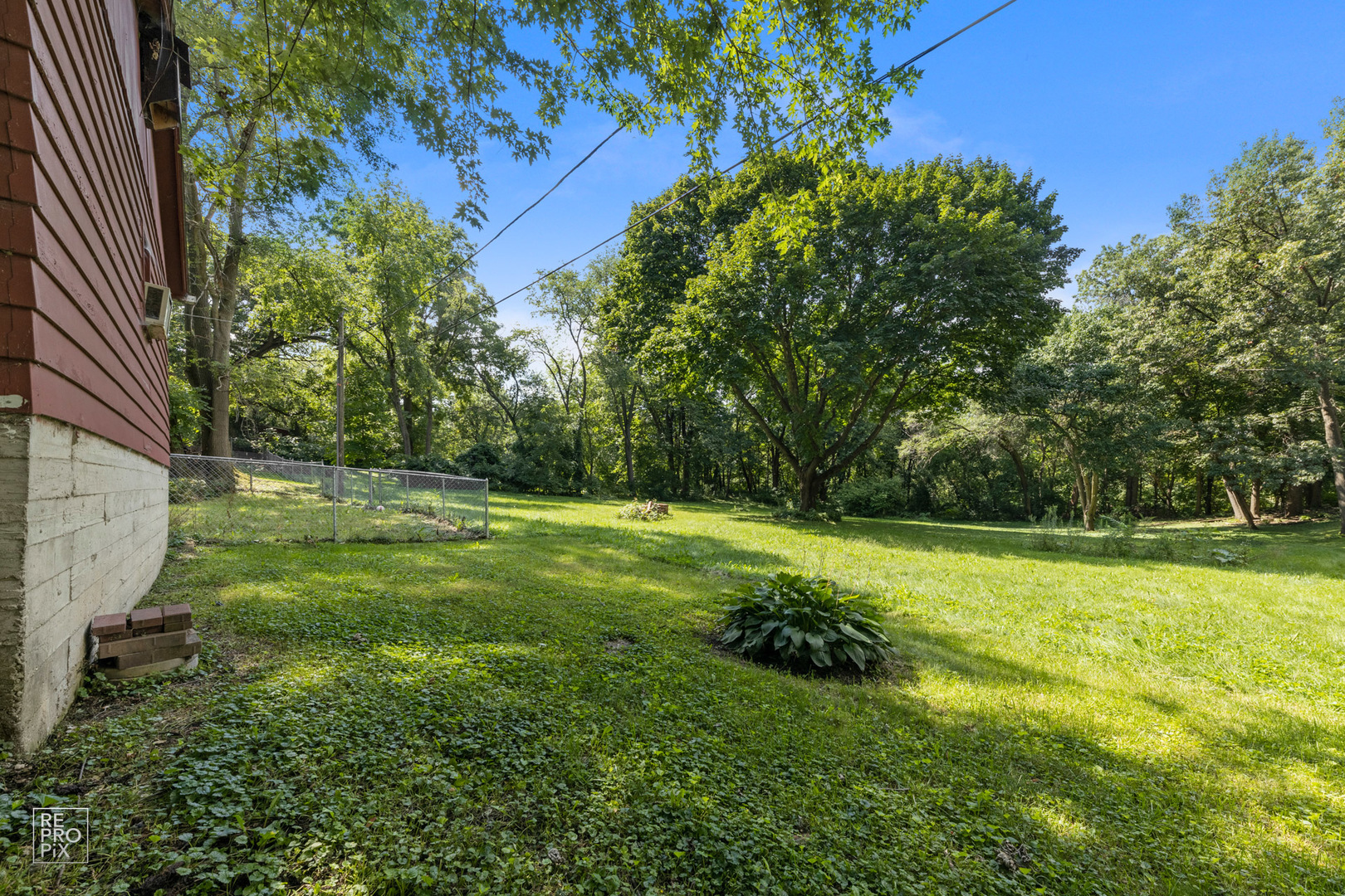 1382 Raymond Street South Elgin, IL 60177 - Photo 13 of 14 a view of a field with a tree