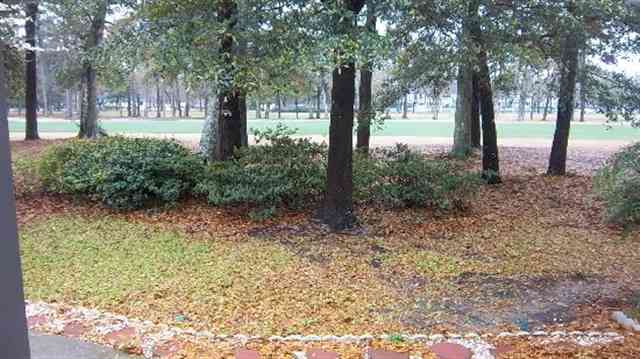 9744 Chestnut Ridge Drive Myrtle Beach, SC 29572 - Photo 4 of 15 Gallery Image 4
