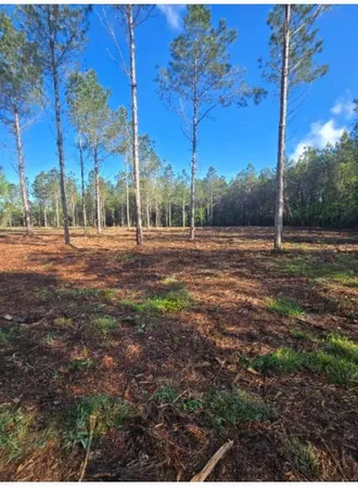 $44,900 | 1513 Oak Dale Road, Loris, SC 29569