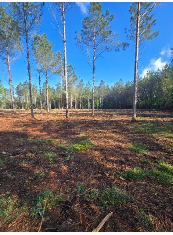 1513 Oak Dale Road Loris, SC 29569 - Photo 1 of 3