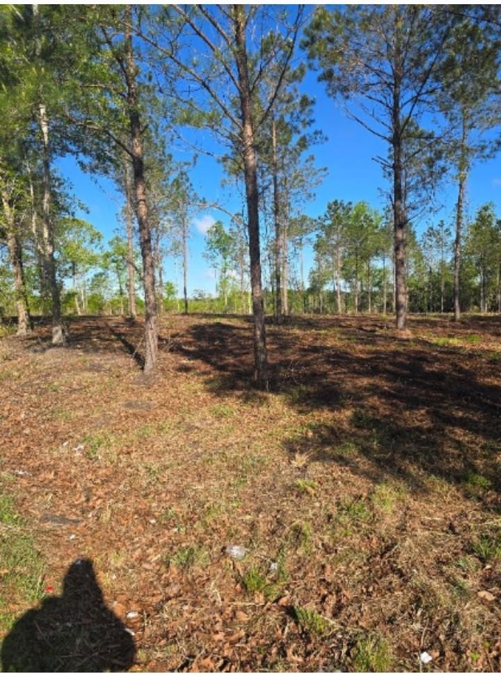 1513 Oak Dale Road Loris, SC 29569 - Photo 2 of 3