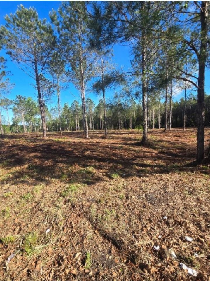 1513 Oak Dale Road Loris, SC 29569 - Photo 3 of 3