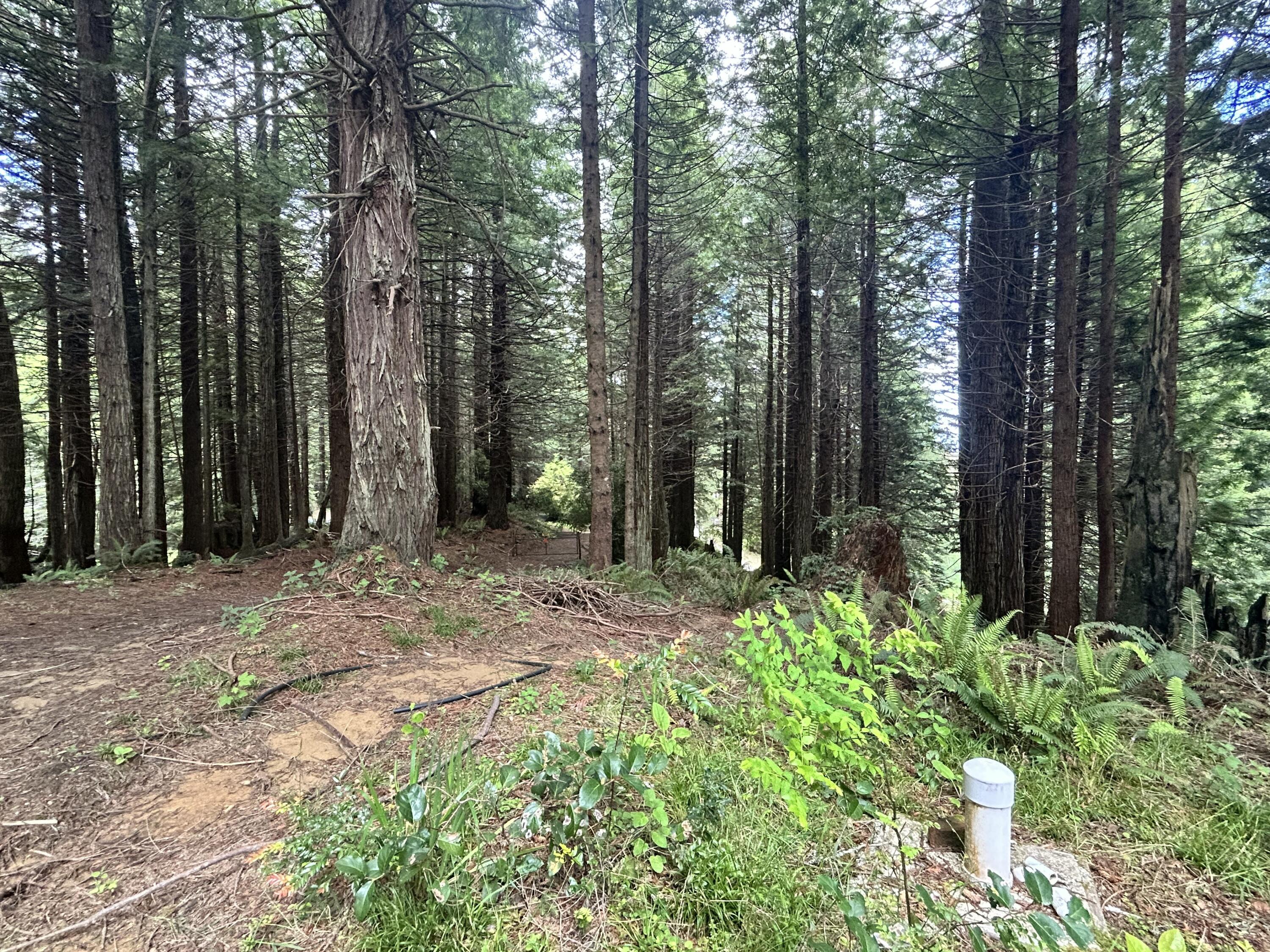 0 May Road Eureka, CA 95503 - Photo 5 of 10