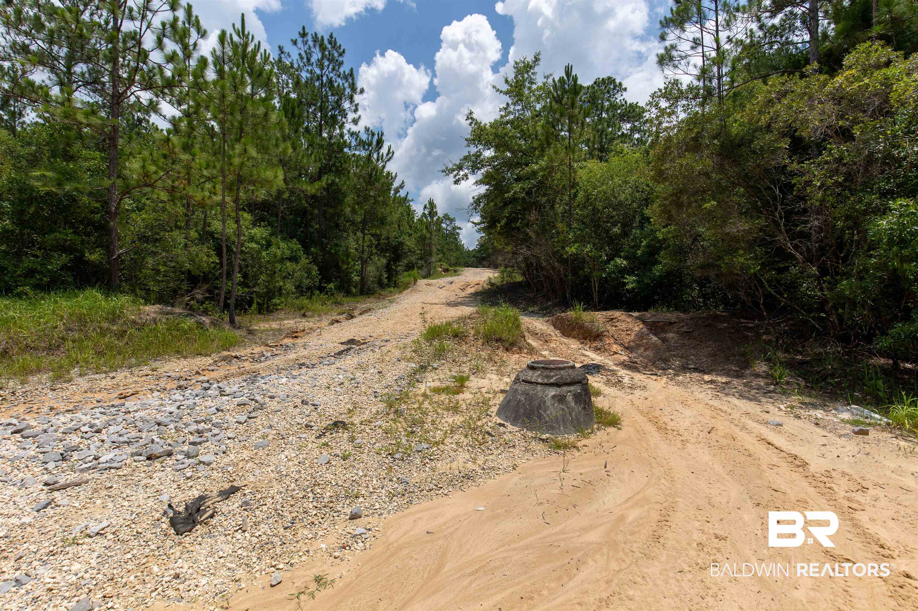 0 Schillinger Road Mobile, AL 36619 - Photo 21 of 25