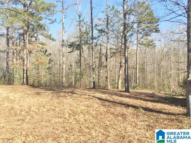2175 Salt Creek Road, Unit ACREAGE Munford, AL 36268 - Photo 1 of 10 Gallery Image 1