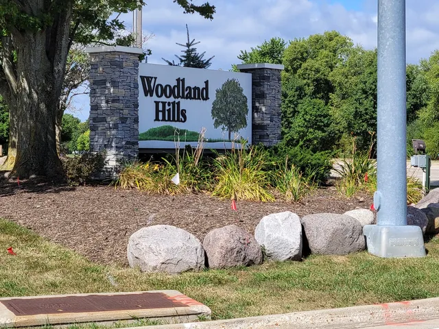 a view of a backyard with plants and a fountain