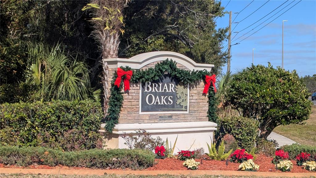 18527 Waydale Loop Hudson, FL 34667 - Photo 23 of 28