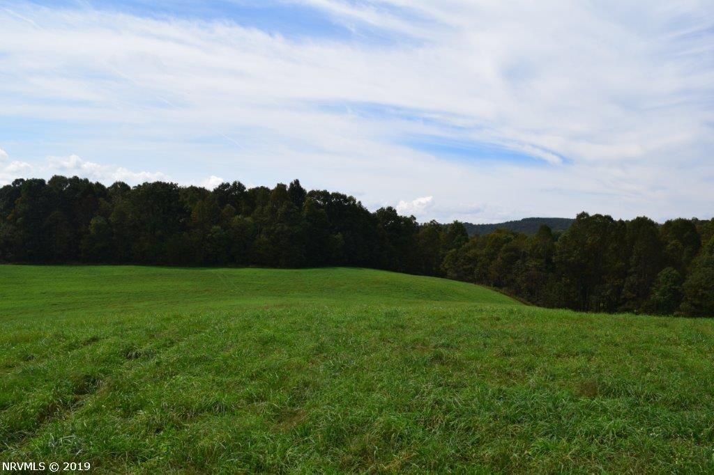 Blacksmith Rd Meadows Meadows Of Dan, VA 24120 - Photo 4 of 6 Gallery Image 4