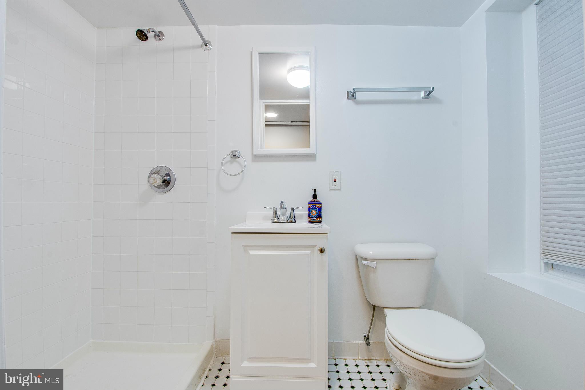 703 E Street Northeast Washington, DC 20002 - Photo 26 of 30 Lower level full bathroom.