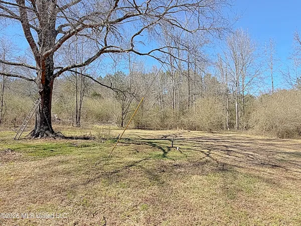 $79,999 | 2897 Tuck Wilkes Road, Noxapater, MS 39346